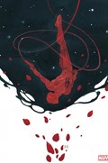 DAREDEVIL #1-RI-C 