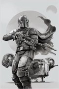 STAR WARS: THE MANDALORIAN #1-TRNTY-B 