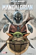STAR WARS: THE MANDALORIAN #1-ILLUM 
