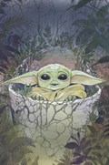 STAR WARS: THE MANDALORIAN #4-RI-C 