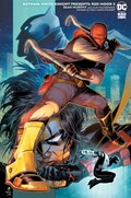 BATMAN: WHITE KNIGHT PRESENTS: RED HOOD #2B 