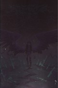 WYND: THE THRONE IN THE SKY #1C 