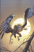 WYND: THE THRONE IN THE SKY #1-RI-B 