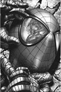 CARNAGE #1-616CX 
