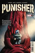 PUNISHER #3 