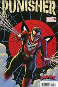 PUNISHER #12C 