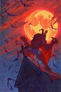 ROGUE SUN #14B 