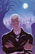 THE VAMPIRE SLAYER #9-RI-C 