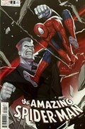 THE AMAZING SPIDER-MAN #2C 