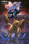 THE AMAZING SPIDER-MAN #32C 