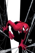 THE AMAZING SPIDER-MAN #50-RI-C 