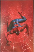 THE AMAZING SPIDER-MAN #17-SPECC-B 