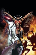 VAMPIRELLA STRIKES #13-RI-D 