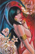 VAMPIRELLA STRIKES #10Q 