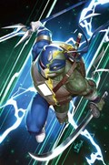 MIGHTY MORPHIN POWER RANGERS / TEENAGE MUTANT NINJA TURTLES II #1-RI-G 
