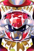 MIGHTY MORPHIN POWER RANGERS / TEENAGE MUTANT NINJA TURTLES II #1S 