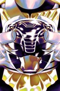 MIGHTY MORPHIN POWER RANGERS / TEENAGE MUTANT NINJA TURTLES II #2-RI-G 