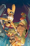 MIGHTY MORPHIN POWER RANGERS / TEENAGE MUTANT NINJA TURTLES II #3-RI-C 