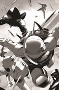 MIGHTY MORPHIN POWER RANGERS / TEENAGE MUTANT NINJA TURTLES II #3-RI-B 
