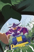 DARKWING DUCK #4-RI-I 