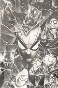 SPIDER-MAN #1-NRDPH-C 
