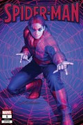 SPIDER-MAN #1I 