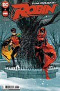 TIM DRAKE: ROBIN #8 