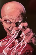VANISH #4-STEG 