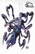 VANISH #2-STEG 