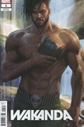 WAKANDA #1C 
