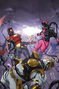MIGHTY MORPHIN POWER RANGERS #114-RI-E 