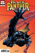 BLACK PANTHER #3-RI 