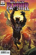 BLACK PANTHER #4B 