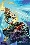 TEENAGE MUTANT NINJA TURTLES VS. STREET FIGHTER #3-RI-D 