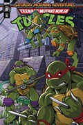 TEENAGE MUTANT NINJA TURTLES: SATURDAY MORNING ADVENTURES - CONTINUED #8-RI 