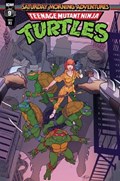TEENAGE MUTANT NINJA TURTLES: SATURDAY MORNING ADVENTURES - CONTINUED #9-RI-C 