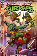 TEENAGE MUTANT NINJA TURTLES: SATURDAY MORNING ADVENTURES - CONTINUED #12B 