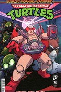 TEENAGE MUTANT NINJA TURTLES: SATURDAY MORNING ADVENTURES - CONTINUED #24 
