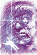 THE INCREDIBLE HULK #1-RI-B 