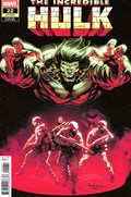 THE INCREDIBLE HULK #22C 