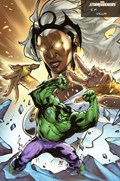 THE INCREDIBLE HULK #18C 
