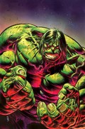 THE INCREDIBLE HULK #19-RI-B 