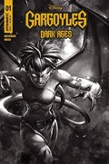 GARGOYLES: DARK AGES #1-RI-C 