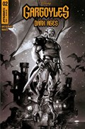 GARGOYLES: DARK AGES #2-RI-B 