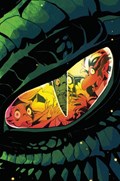 GARGOYLES: DARK AGES #4-RI-E 