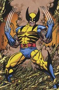GHOST RIDER/WOLVERINE: WEAPONS VENGEANCE ALPHA #1-RI-B 