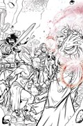 THE MIGHTY BARBARIANS #4-RI-D 