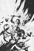 CONAN: THE BARBARIAN #1-RI-C 