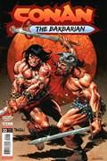 CONAN: THE BARBARIAN #22 