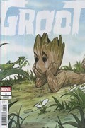 GROOT #1B 
